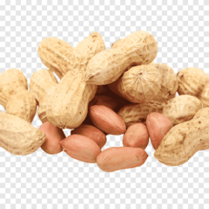 Cacahuètes avec coquille – 500g