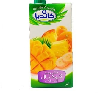 Boisson au jus de cocktail de fruits Candia -paqu. 1L