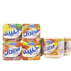 Yaourt brassé J’nina aux fruits – mélange – 125g