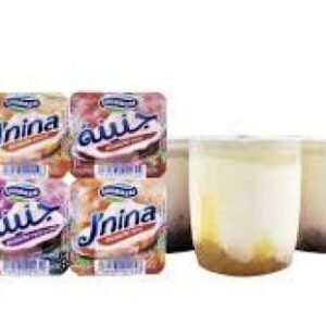 Yaourt J’nina – Soummam – Bicouche – mélange -125g