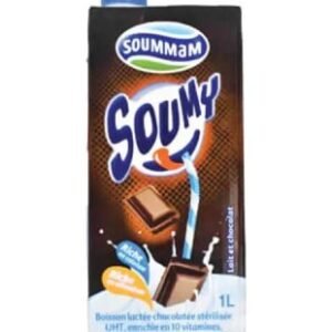 Boisson lactée chocolatée Soumy – Soummam – 1L