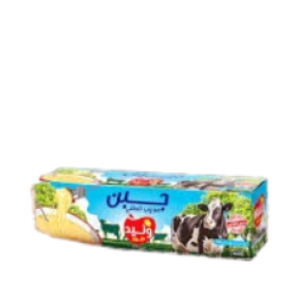 Fromage à tartiner Walid – 500g