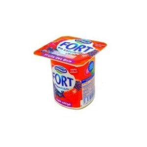 Yaourt Aromatisé Fort – Soummam – mélange – 100g